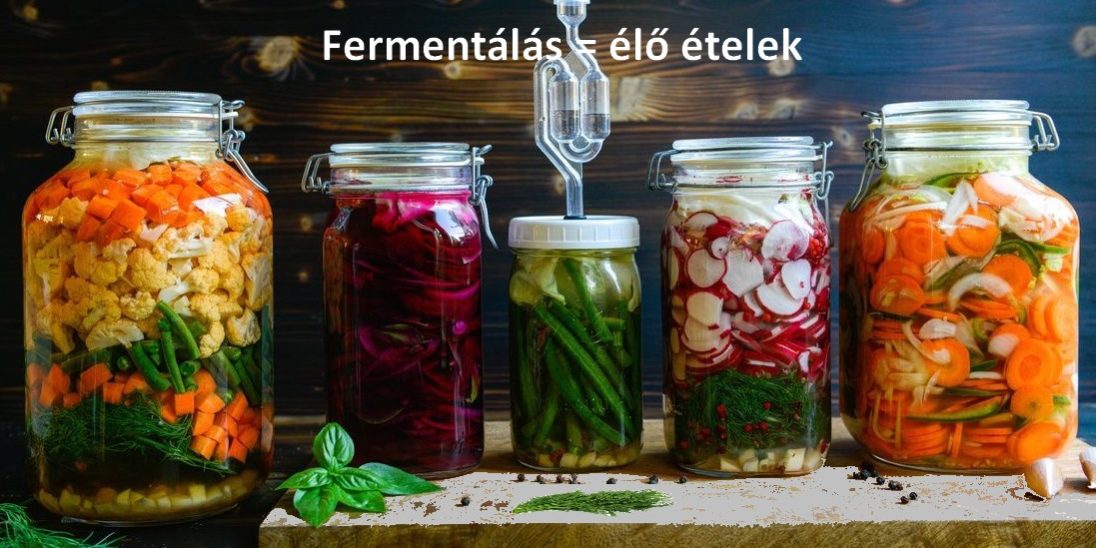 fermentálás